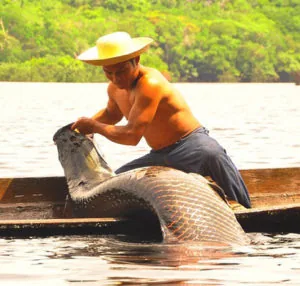 Produtos da Amazônia
